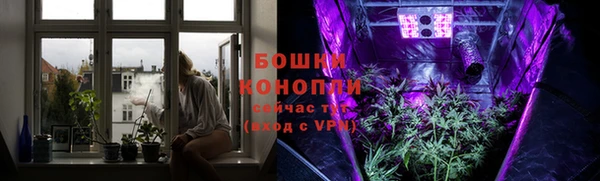 молекула духа Заволжье