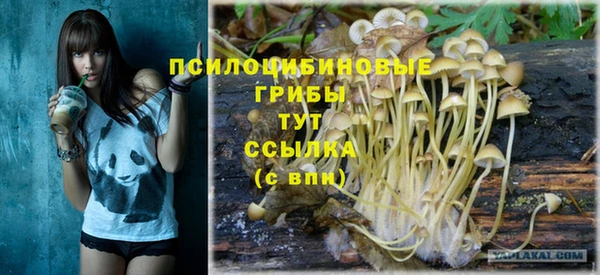 молекула духа Заволжье