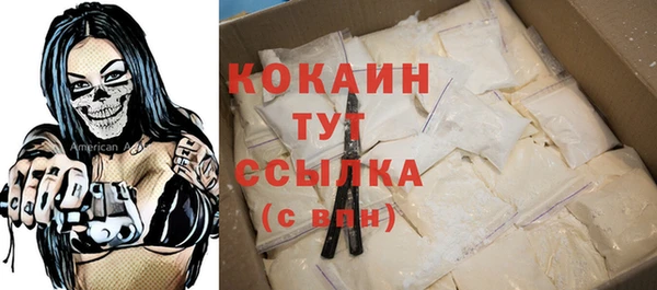 молекула духа Заволжье