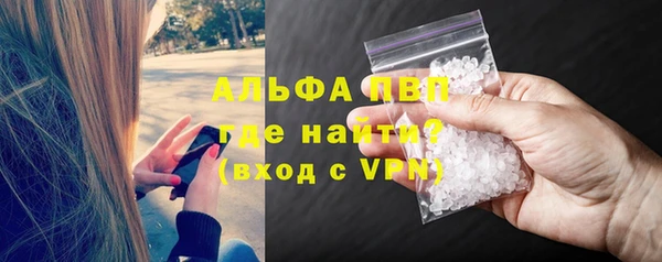 молекула духа Заволжье